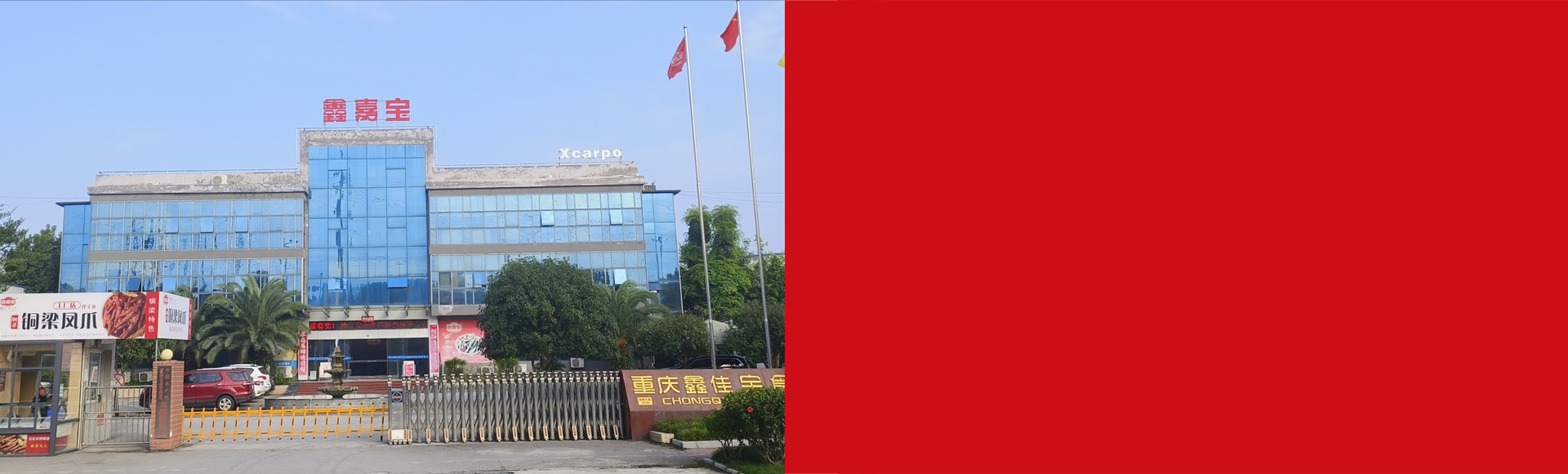 公司简介